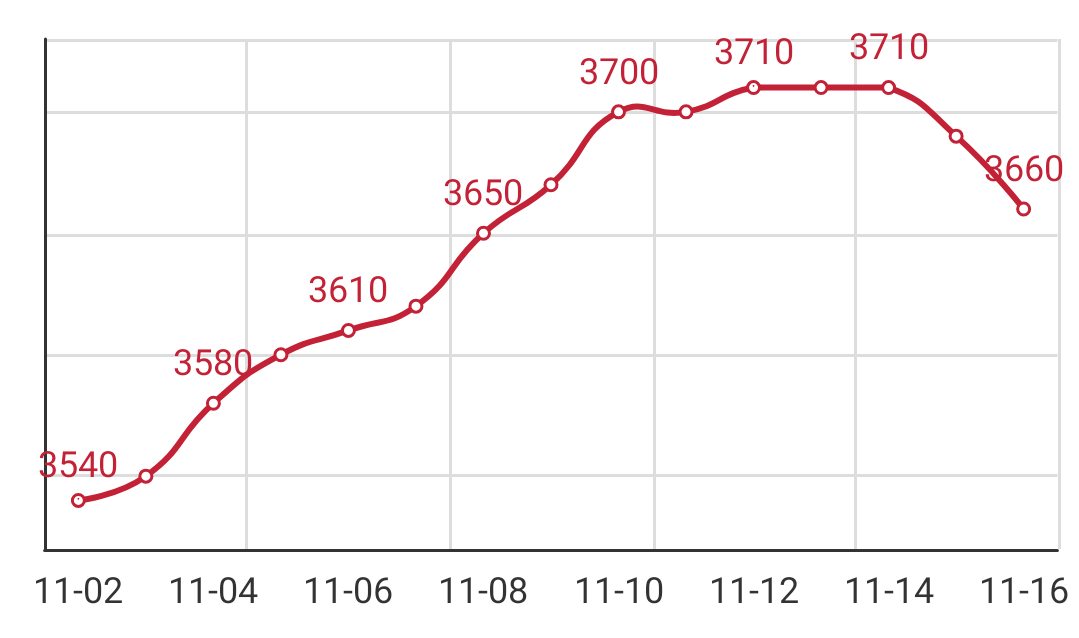 Q195安平市场价