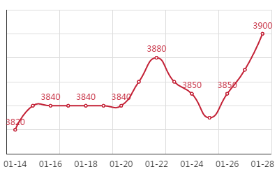 Q195安平市场价